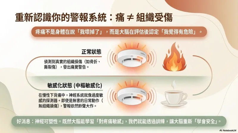 神經系統防盜器比喻
