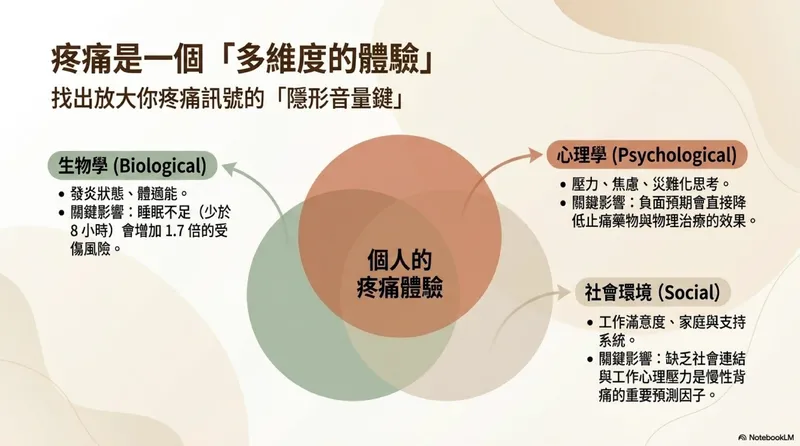 中樞敏感化現象